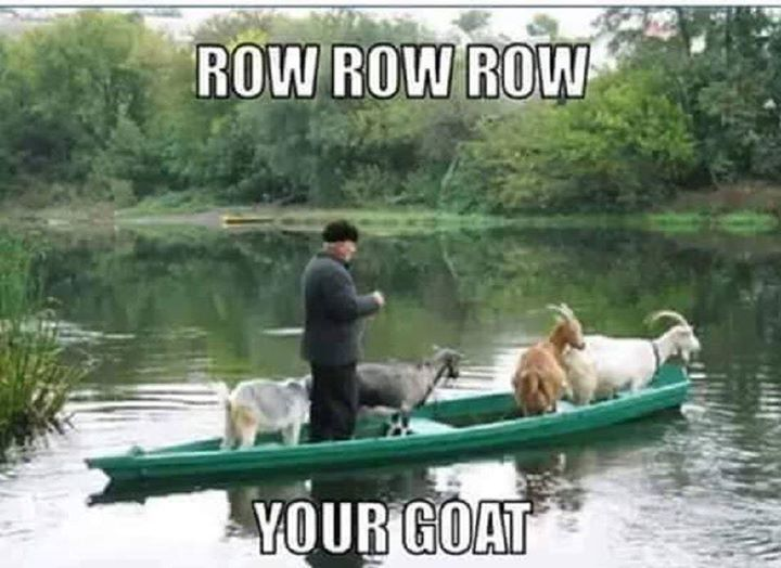 funny goat meme - Row Row Row Your Goat