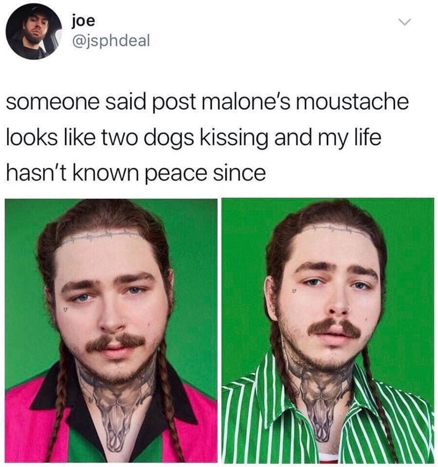 post malone funny memes - joe someone said post malone's moustache looks two dogs kissing and my life hasn't known peace since