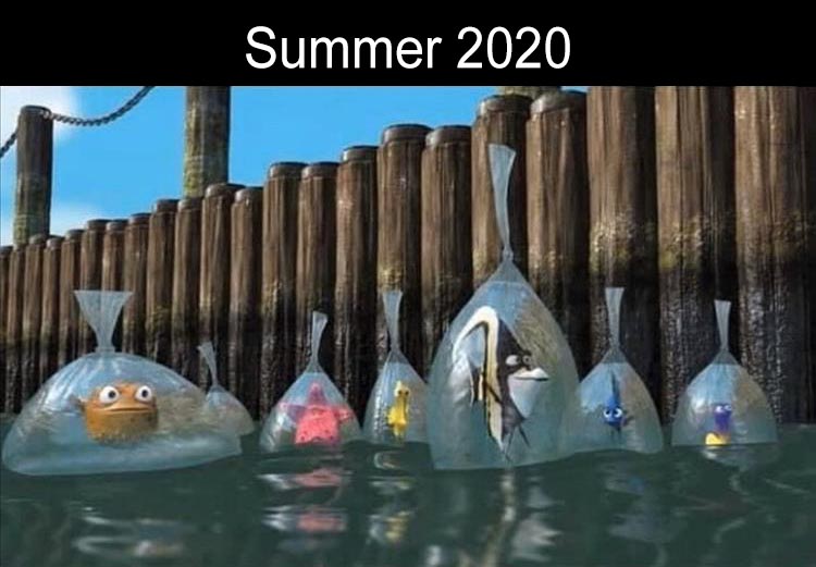 Summer 2020 finding nemo fish in plastic bags in the water