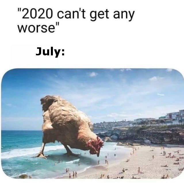 "2020 can't get any worse" July huge chicken attacking people at the beach