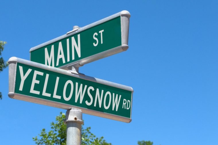 silly street names - Main St Yellowsnow Ro