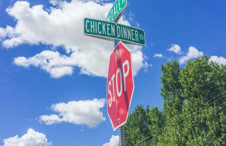 sky - Chicken Dinner dir