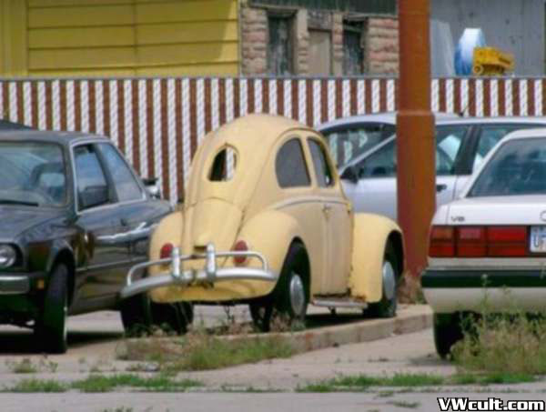 32 VW BEETLES for National VW BEETLE day