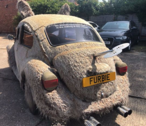 32 VW BEETLES for National VW BEETLE day