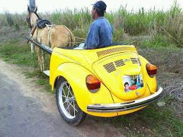 32 VW BEETLES for National VW BEETLE day