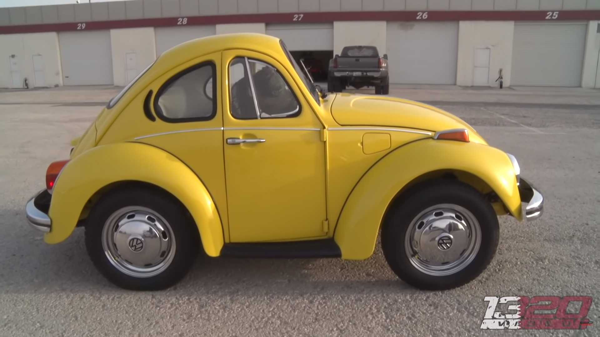 32 VW BEETLES for National VW BEETLE day