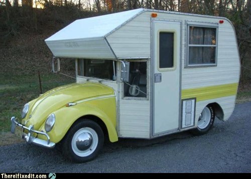 32 VW BEETLES for National VW BEETLE day