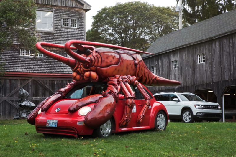 32 VW BEETLES for National VW BEETLE day