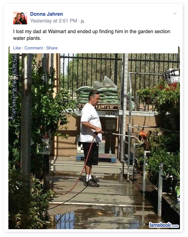 funny gardening memes - Donna Jahren Yesterday at I lost my dad at Walmart and ended up finding him in the garden section water plants. Comment Utel Camebook.com
