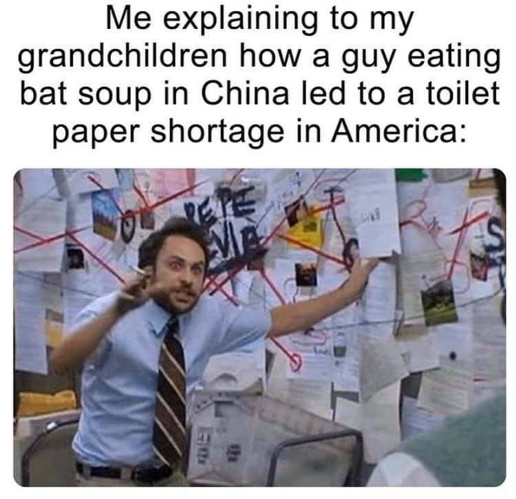 spotify trying to figure out meme - Me explaining to my grandchildren how a guy eating bat soup in China led to a toilet paper shortage in America