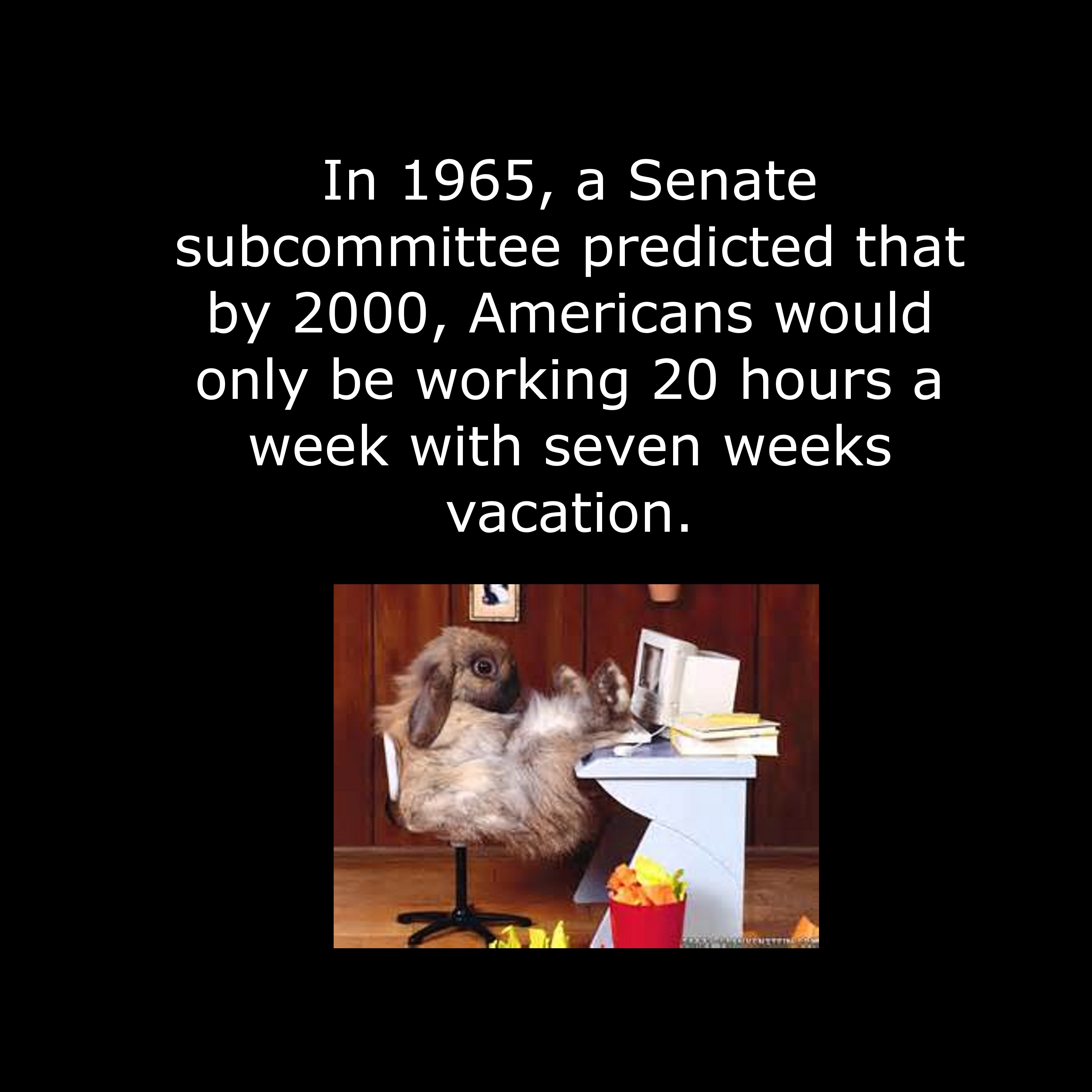 In 1965, a Senate subcommittee predicted that by 2000, Americans would only be working 20 hours a week with seven weeks vacation.