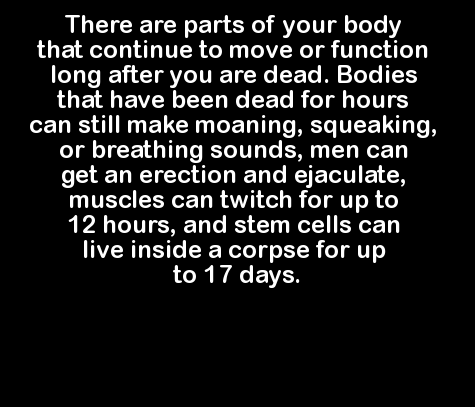 point - There are parts of your body that continue to move or function long after you are dead. Bodies that have been dead for hours can still make moaning, squeaking, or breathing sounds, men can get an erection and ejaculate, muscles can twitch for up t