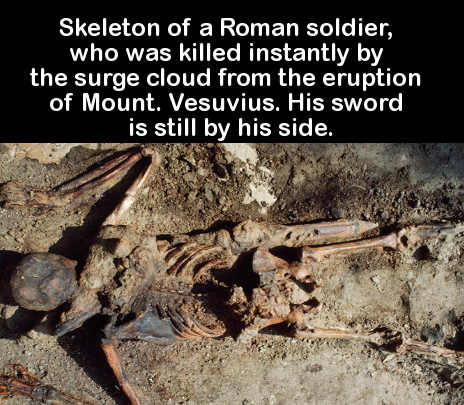 fauna - Skeleton of a Roman soldier, who was killed instantly by the surge cloud from the eruption of Mount. Vesuvius. His sword is still by his side.
