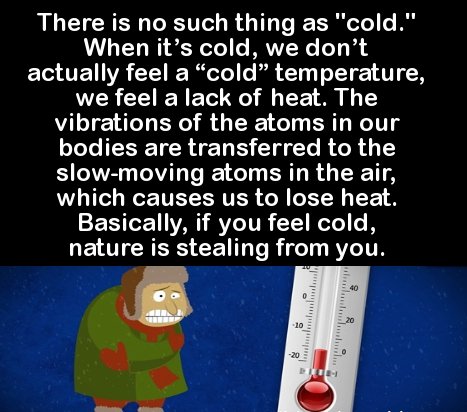 cartoon - There is no such thing as "cold." When it's cold, we don't actually feel a cold temperature, we feel a lack of heat. The vibrations of the atoms in our bodies are transferred to the slowmoving atoms in the air, which causes us to lose heat. Basi