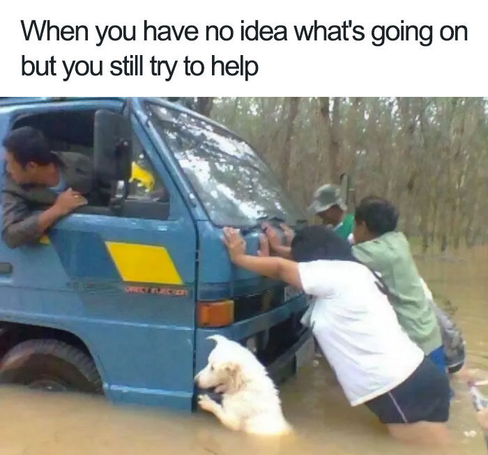 you have no idea whats going - When you have no idea what's going on but you still try to help
