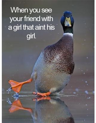 duck slip - When you see your friend with a girl that aint his girl. ten