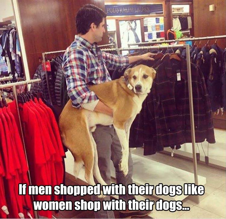 if men shopped with their dogs - Polo Ralph Lauren Re If men shopped with their dogs women shop with their dogs...