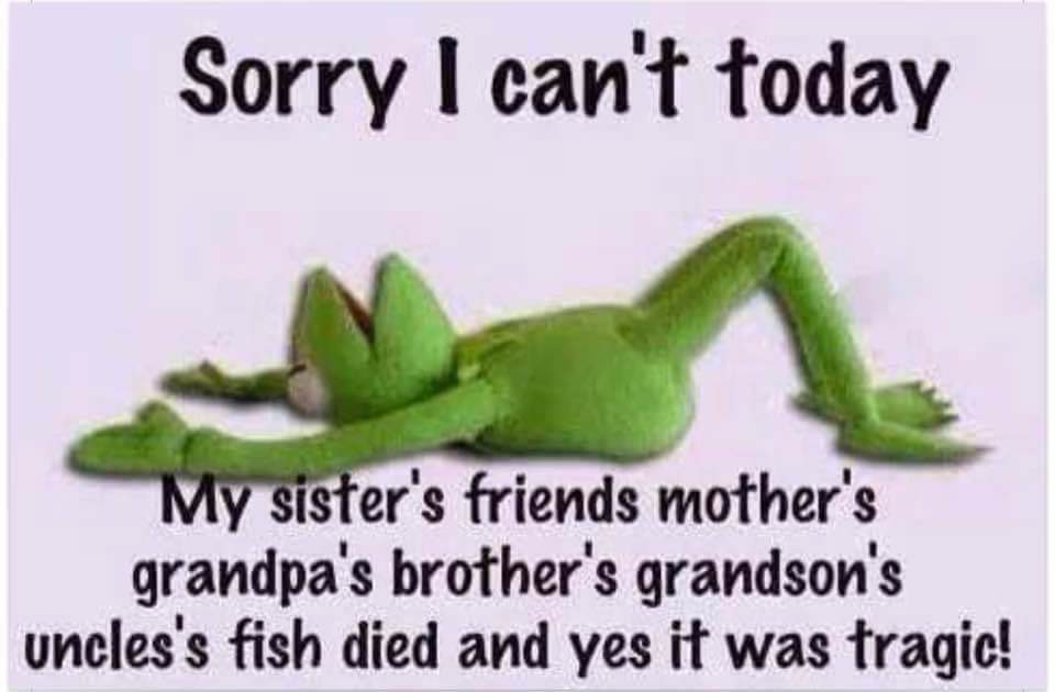 fauna - Sorry I can't today My sister's friends mother's grandpa's brother's grandson's uncles's fish died and yes it was tragic!