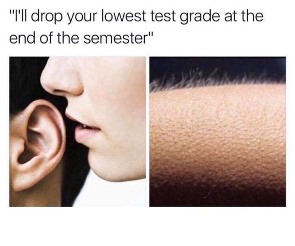 funny memes college life memes - "I'll drop your lowest test grade at the end of the semester"