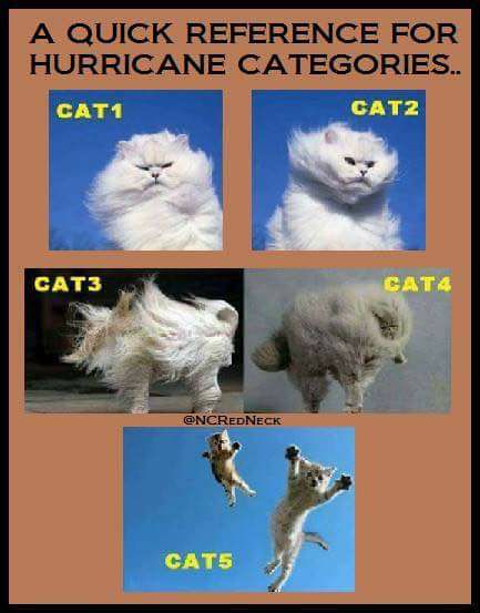 cat hurricane meme - A Quick Reference For Hurricane Categories.. CAT1 CAT2 CAT3 Cata CAT5