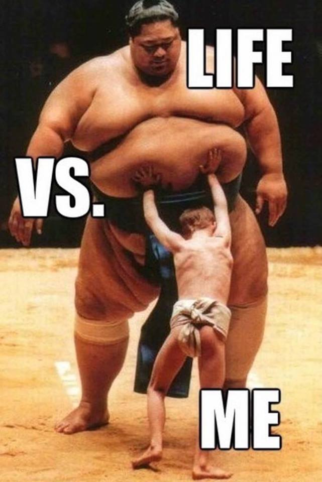 sumo wrestler - Life Vs. Me