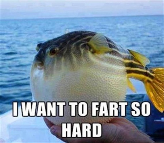 funny fishing - I Want To Fart So Hard