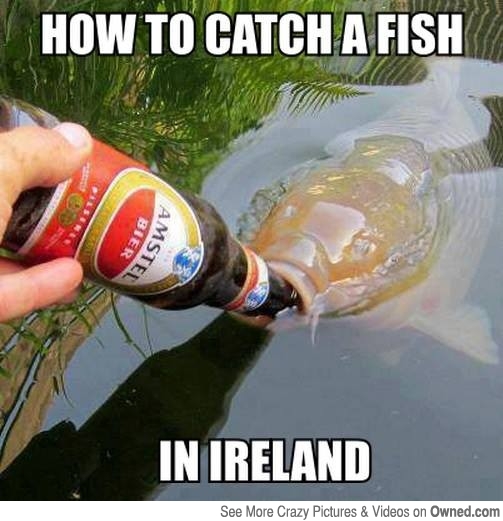 fish memes - How To Catch A Fish Sil Ier 1STEL In Ireland See More Crazy Pictures & Videos on Owned.com