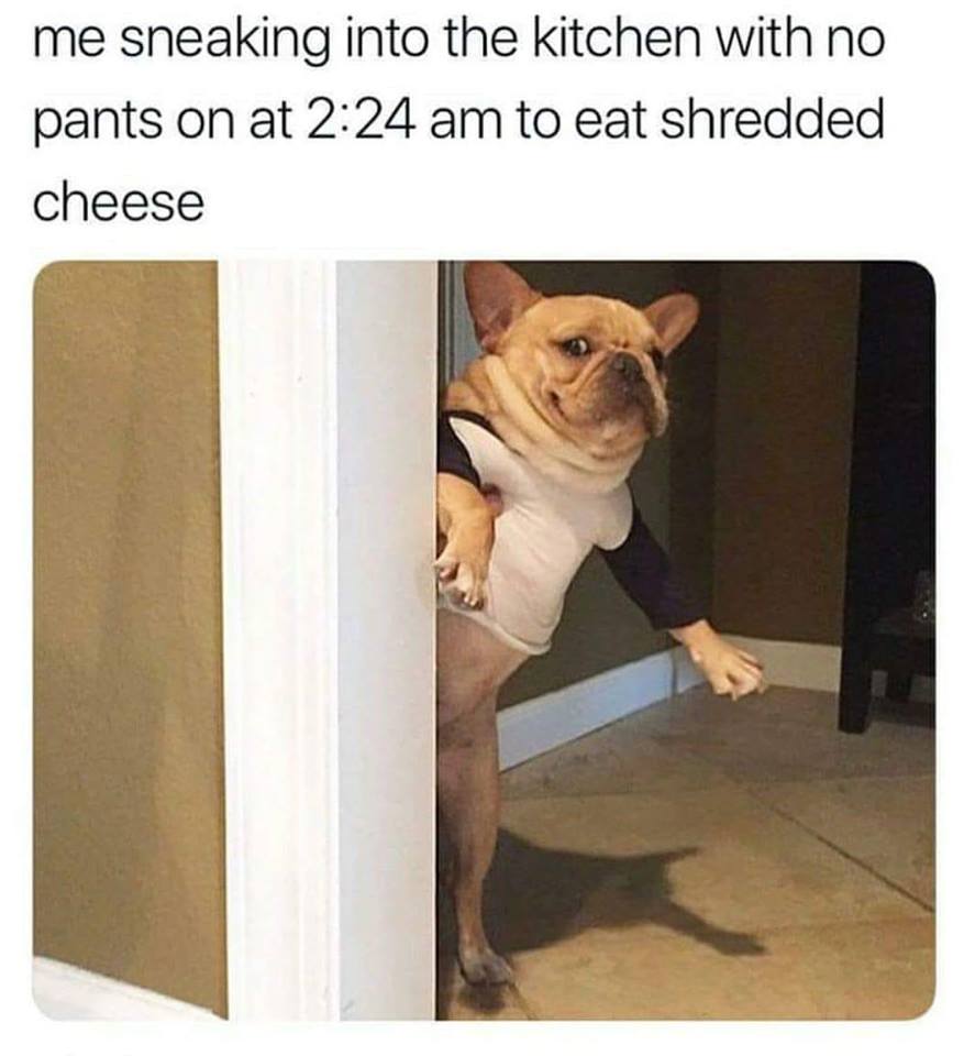 sneaking into kitchen meme - me sneaking into the kitchen with no pants on at to eat shredded cheese
