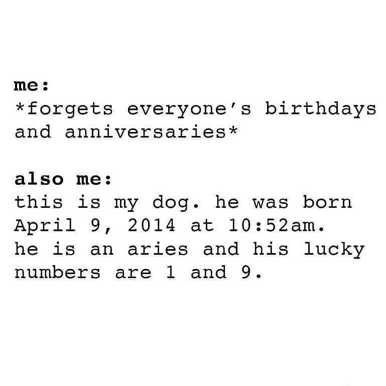 number - me forgets everyone's birthdays and anniversaries also me this is my dog. he was born at . he is an aries and his lucky numbers are 1 and 9.