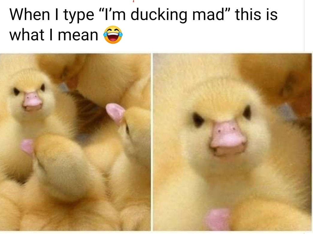 ducking mad meme - When I type I'm ducking mad this is what I mean