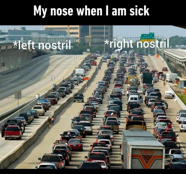 houston traffic - My nose when I am sick left nostril right nostril 535173