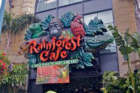 rainforest cafe building