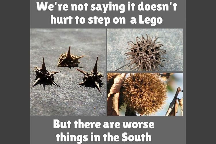 funny southern memes - We're not saying it doesn't hurt to step on a Lego But there are worse things in the South