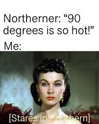 southern memes - Northerner "90 degrees is so hot!" Me Stares in southern