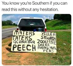 southern memes - You know you're Southern if you can read this without any hesitation. Sk Wash Maters Yeller Taters Qcomebur Zodkeene Peech Purplehurl