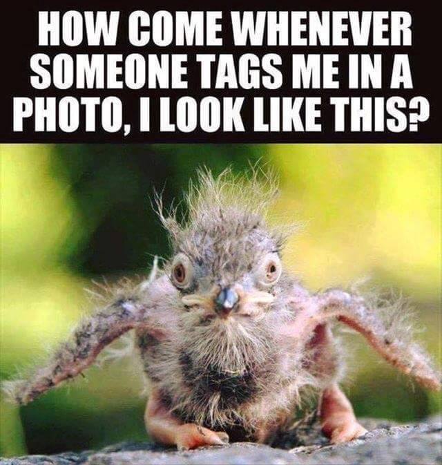 so many selfies - How Come Whenever Someone Tags Me In A Photo, I Look This?