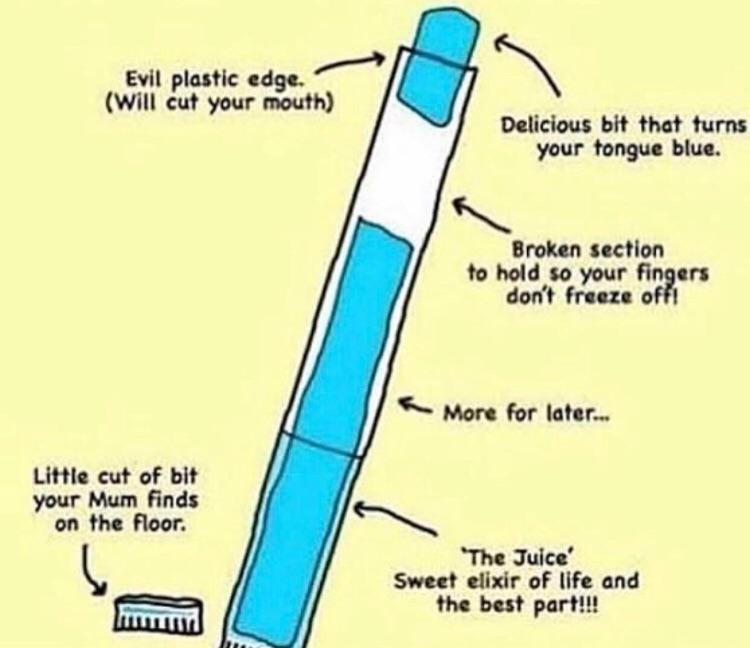 diagram - Evil plastic edge. Will cut your mouth Delicious bit that turns your tongue blue. Broken section to hold so your fingers don't freeze off! More for later... Little cut of bit your Mum finds on the floor. 'The Juice' Sweet elixir of life and the 