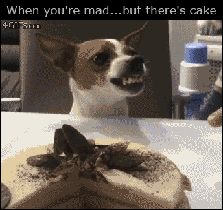 you re mad but there's cake - When you're mad...but there's cake 4 GIFs.com