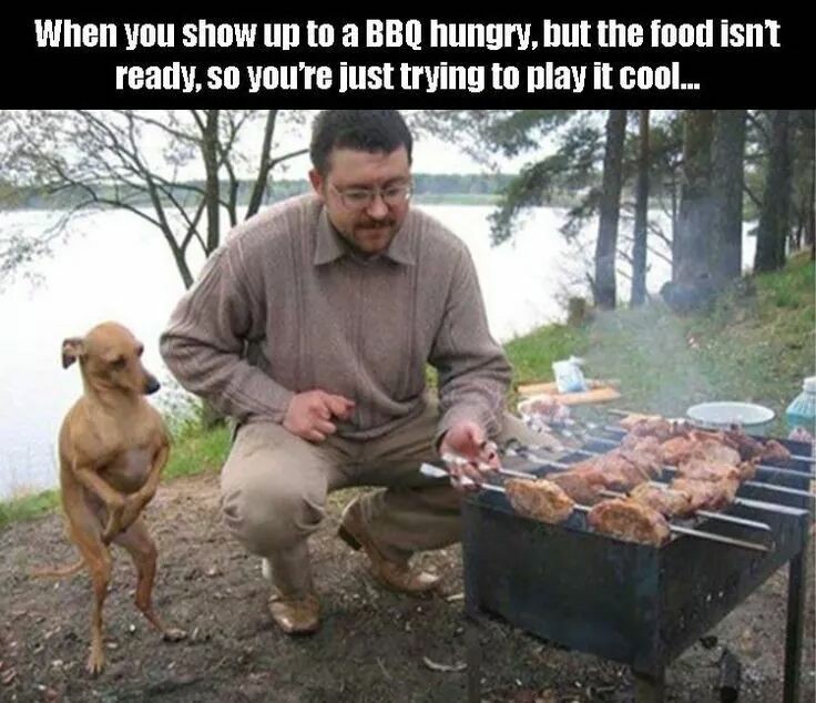 awkwardly standing dogs - When you show up to a Bbq hungry, but the food isn't ready, so you're just trying to play it cool...