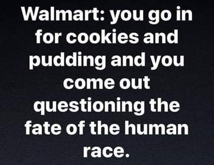 angle - Walmart you go in for cookies and pudding and you come out questioning the fate of the human race.