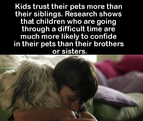photo caption - Kids trust their pets more than their siblings. Research shows that children who are going through a difficult time are much more ly to confide in their pets than their brothers or sisters.