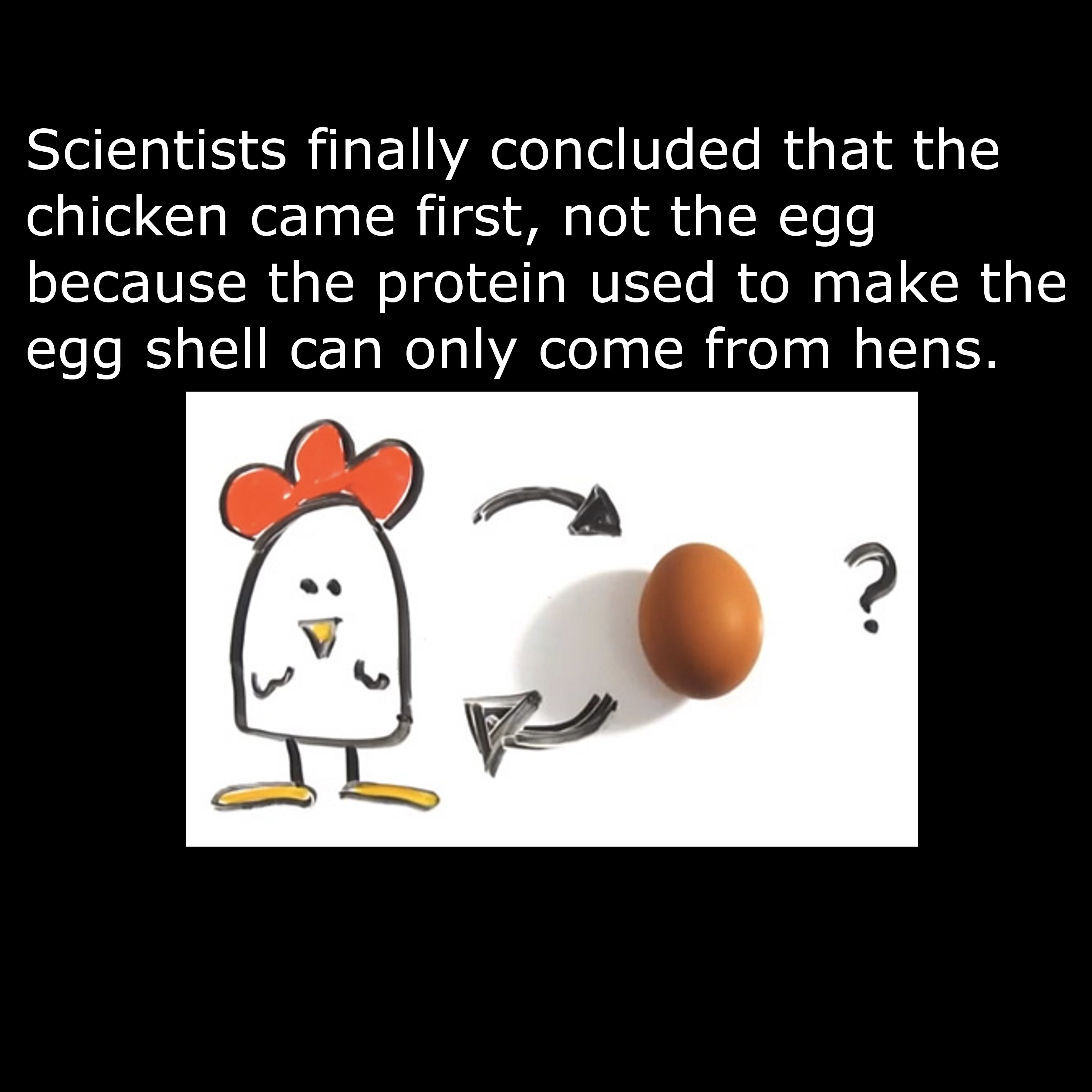 chicken and the egg - Scientists finally concluded that the chicken came first, not the egg because the protein used to make the egg shell can only come from hens. ?