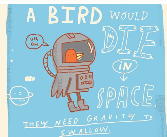 poster - A Bird Would Vh . Die in 000 Space They Need Gravity To Swallow