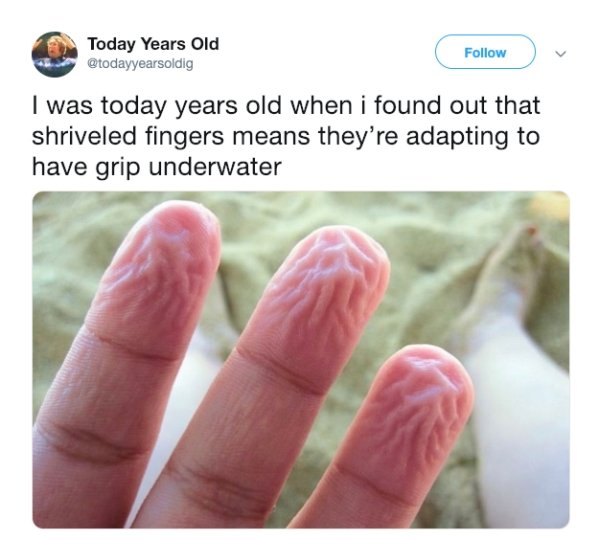 today years old - Today Years Old I was today years old when i found out that shriveled fingers means they're adapting to have grip underwater