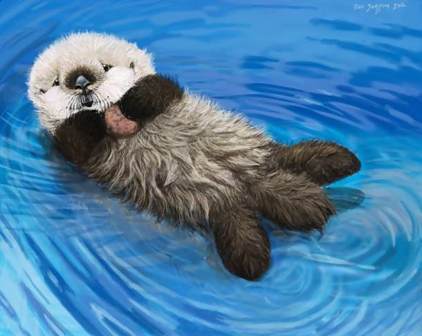 newborn baby sea otter