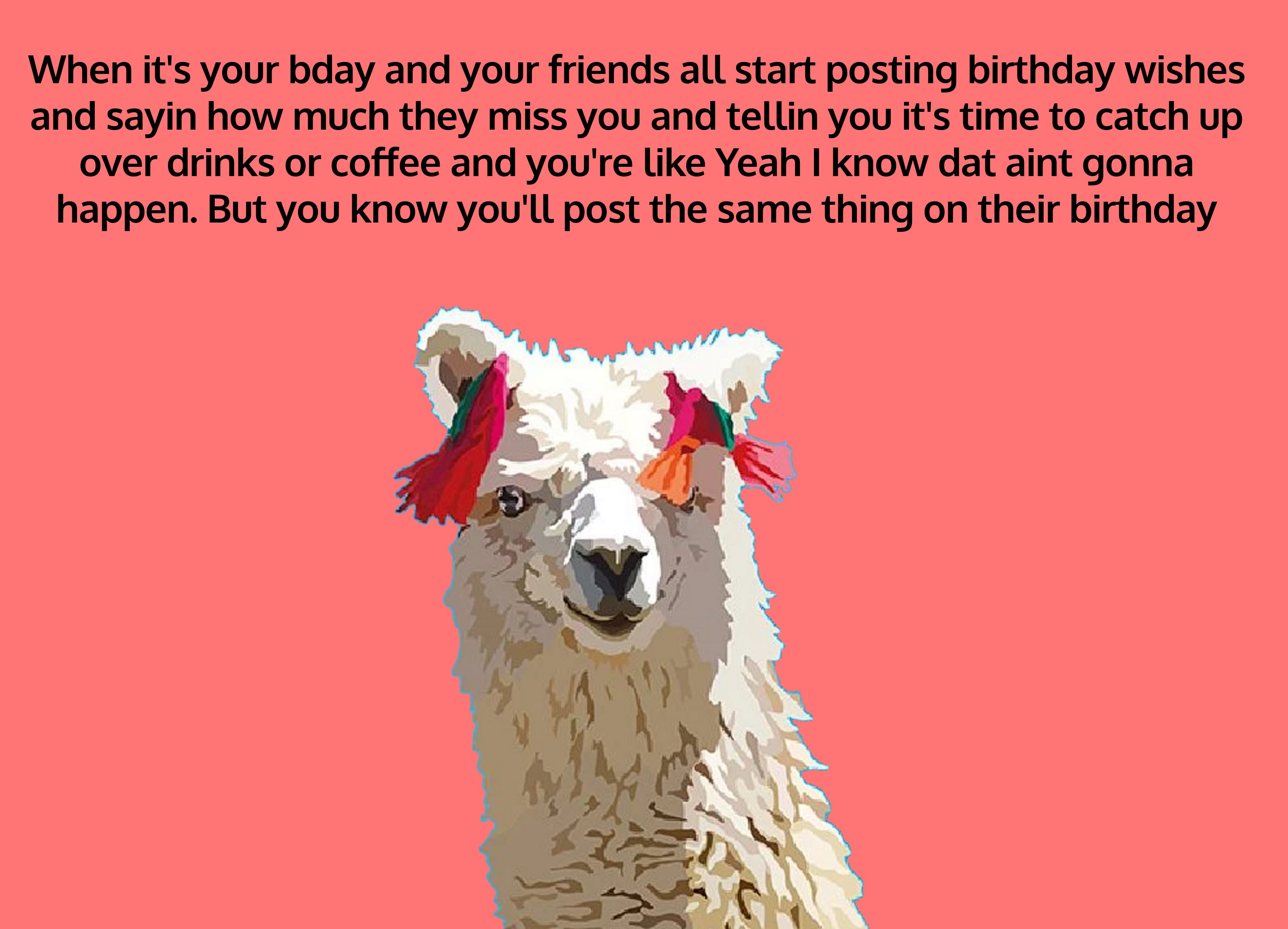 llama - When it's your bday and your friends all start posting birthday wishes and sayin how much they miss you and tellin you it's time to catch up over drinks or coffee and you're Yeah I know dat aint gonna happen. But you know you'll post the same thin