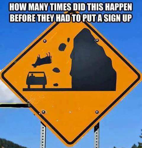 cow falling sign - How Many Times Did This Happen Before They Had To Puta Sign Up ... Seo