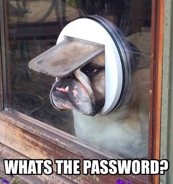 bulldog doggy door - Whats The Password?