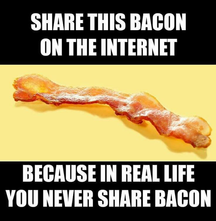 pilatus - This Bacon On The Internet Because In Real Life You Never Bacon