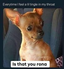rona is that you meme - Everytime I feel a lil tingle in my throat Is that you rona